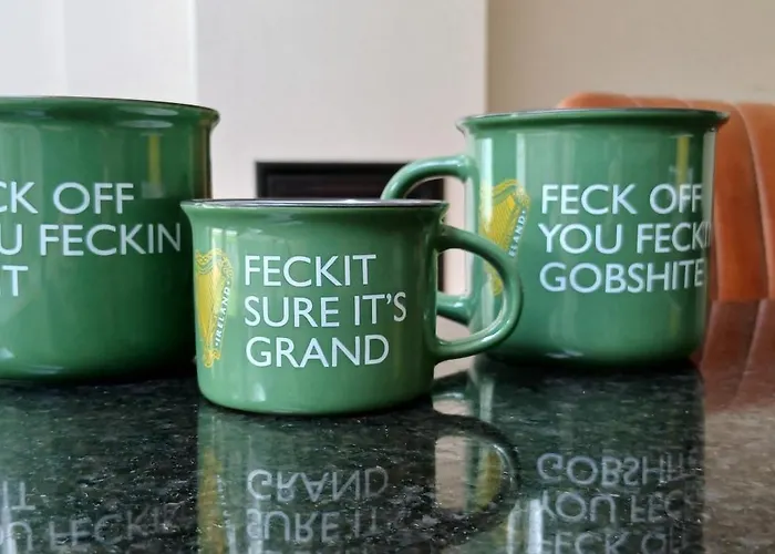 Beautiful 3bd Beside Phoenix Park Feriehus Dublin