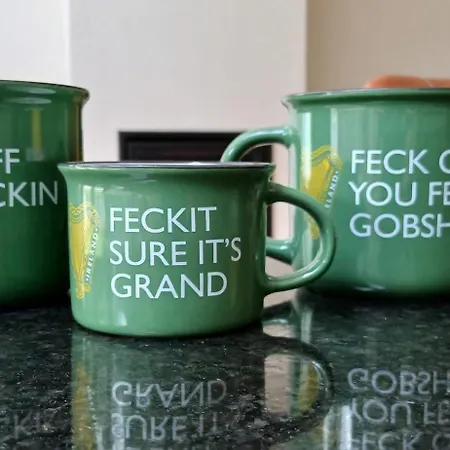 Beautiful 3bd Beside Phoenix Park Semesterbostad Dublin